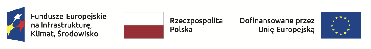 Na grafice logotypy Funduszy Europejskich oraz flagi Polski i UE