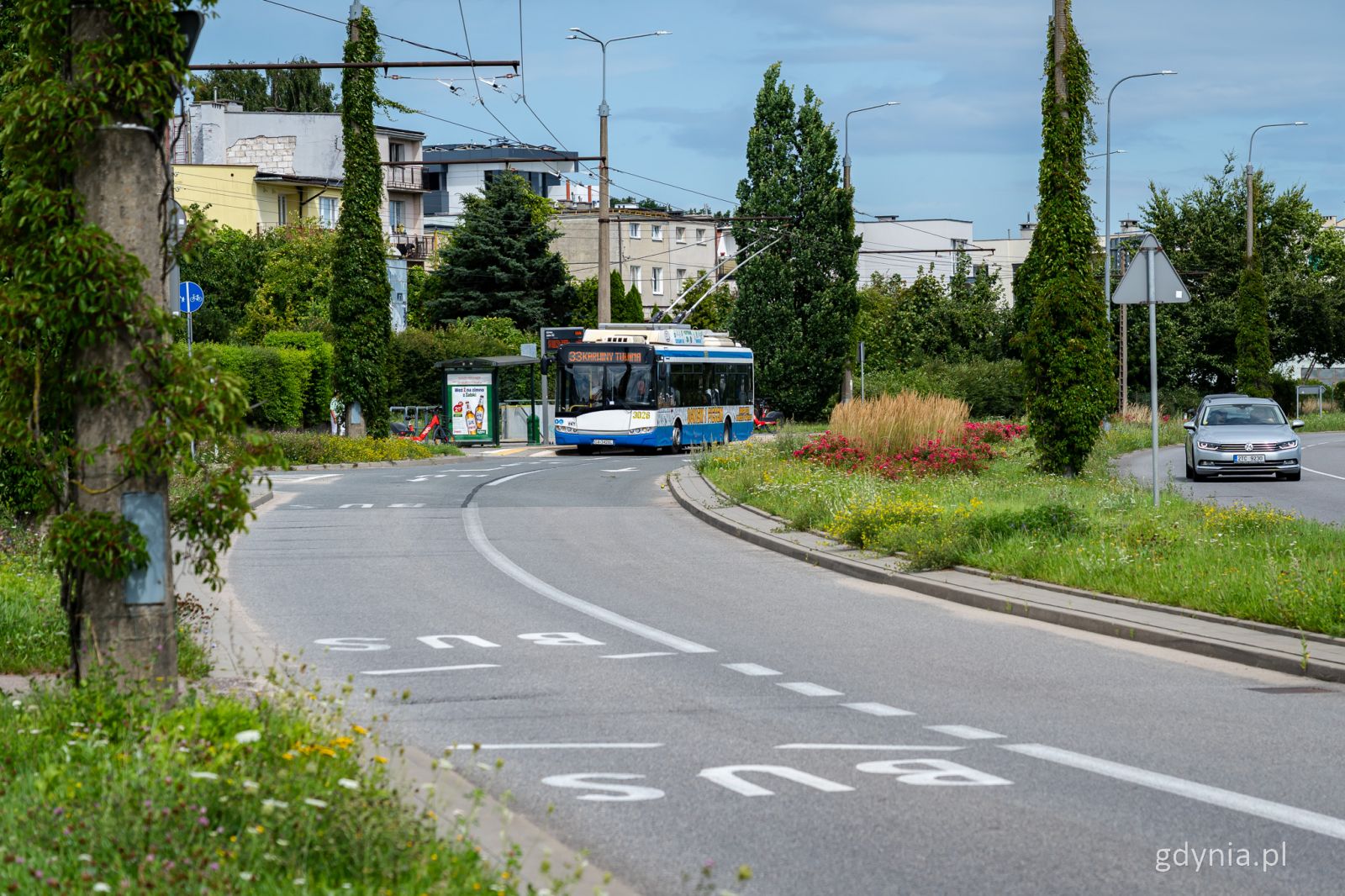 Buspas w Gdyni. Fot. Kamil Złoch/gdynia.pl.