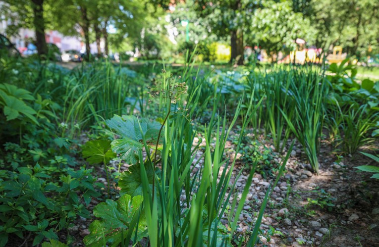 Inwestycje klimatyczne